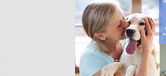 Volunteer with a shelter dog