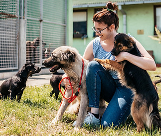 Woman with dogs in an adoption setting