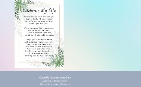 Celebrate My Life poem card