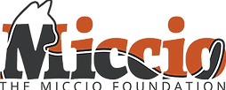 The MICCIO Foundation Logo