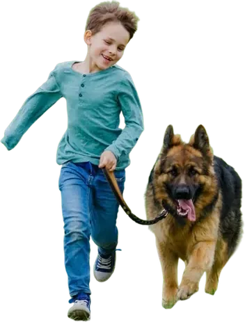 Boy walking his dog