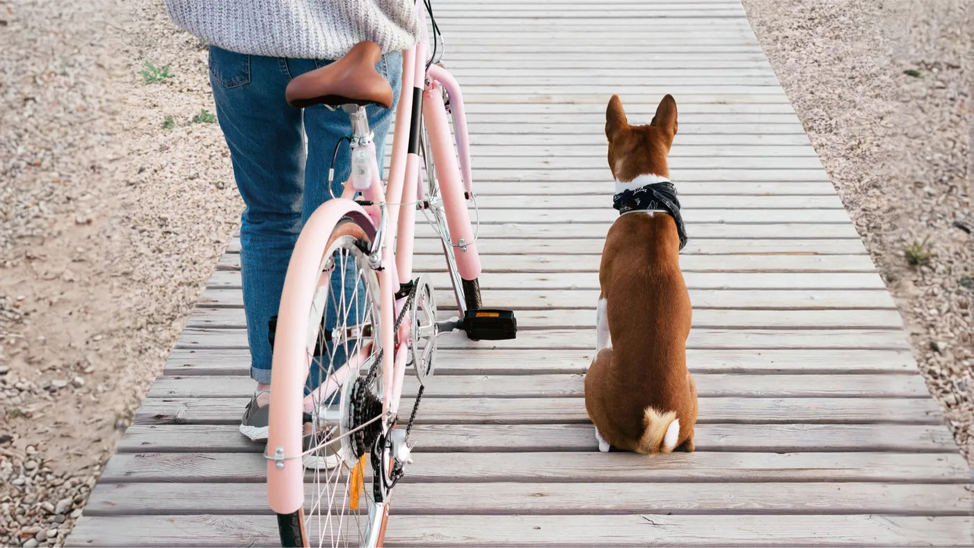 Cyclist and dog