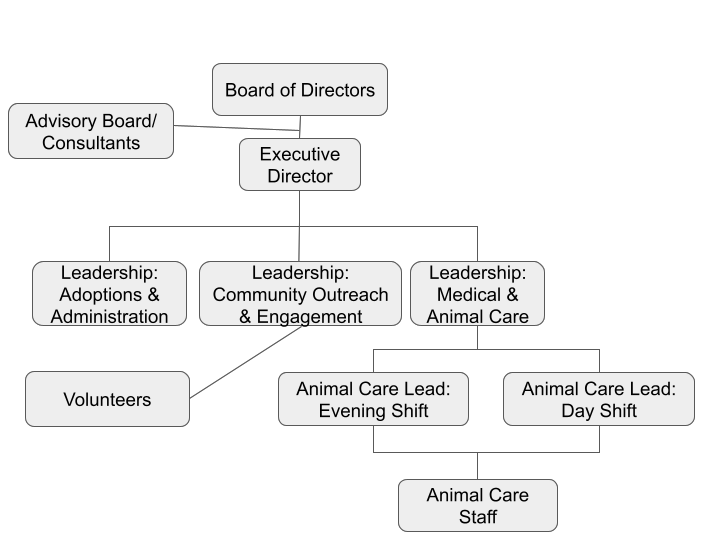 HSNEI operations organizational chart: Board of Directors, Advisory Board/Consultants, Executive Director, Leadership (Adoptions & Administration; Community Outreach & Engagement; Medical & Animal Care), Volunteers, Animal Care Leads and Animal Care Staff