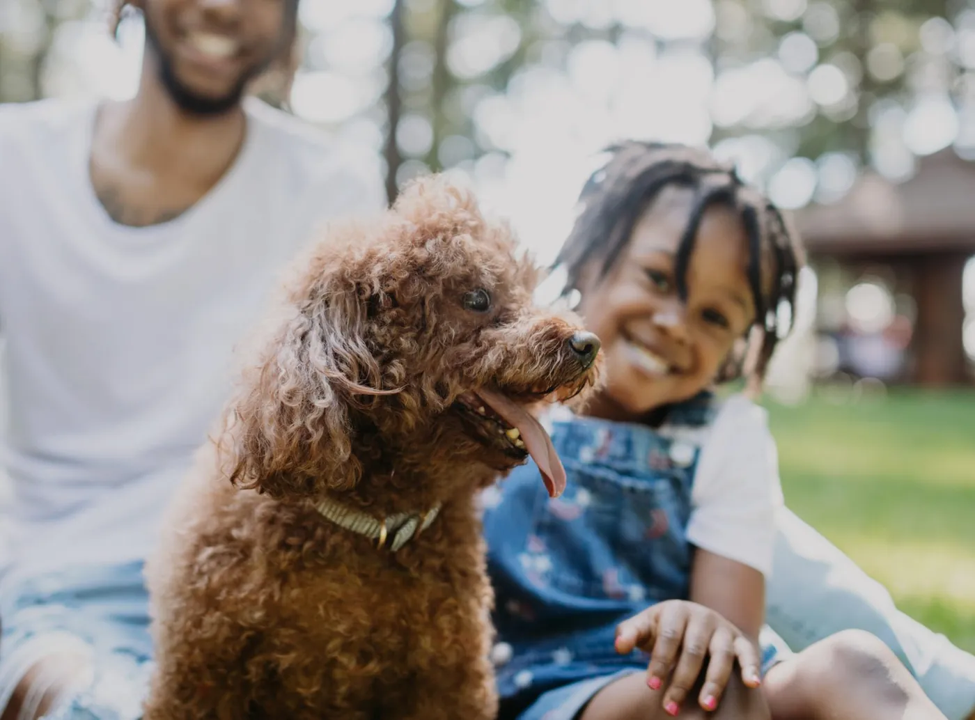 Child hugging a curly-haired dog