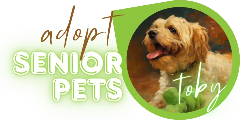Tails & Treasures 2025 event sponsor - Adopt senior pets