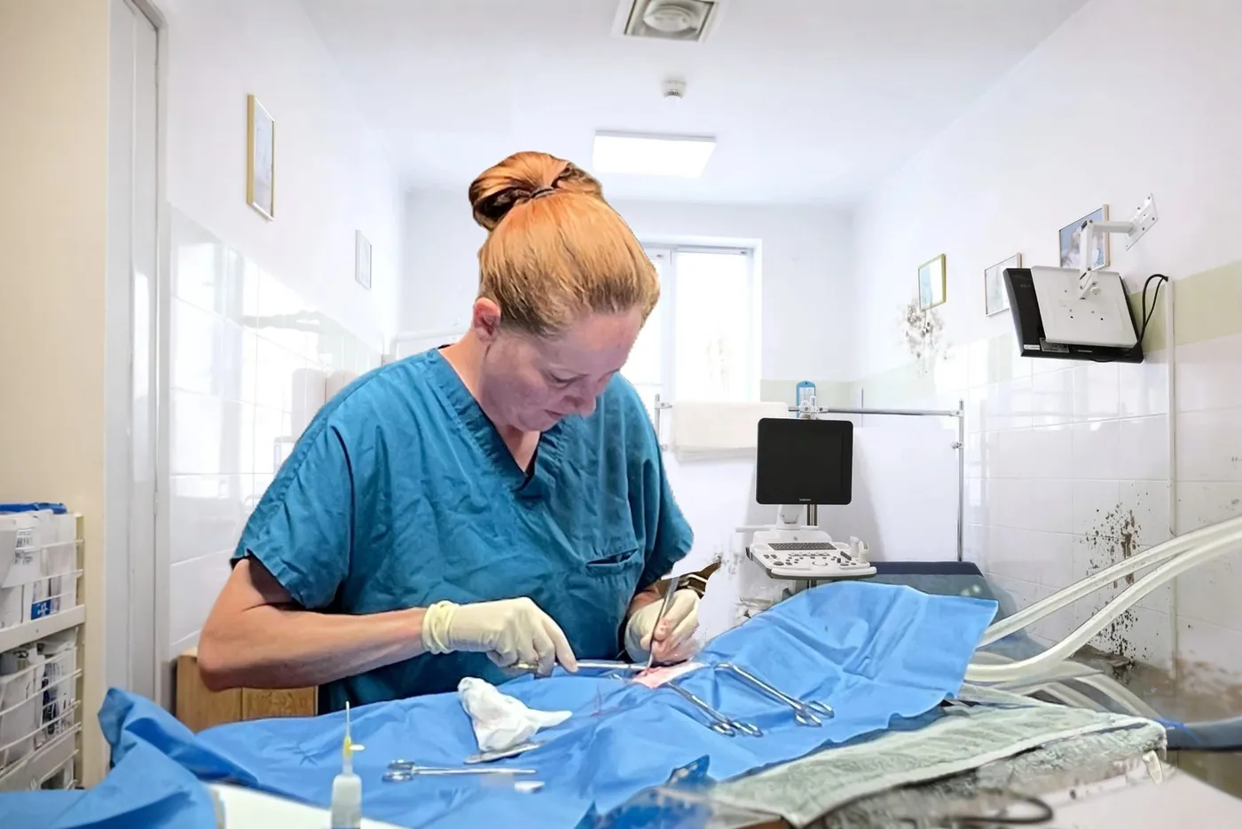 Veterinarian performing a surgical procedure