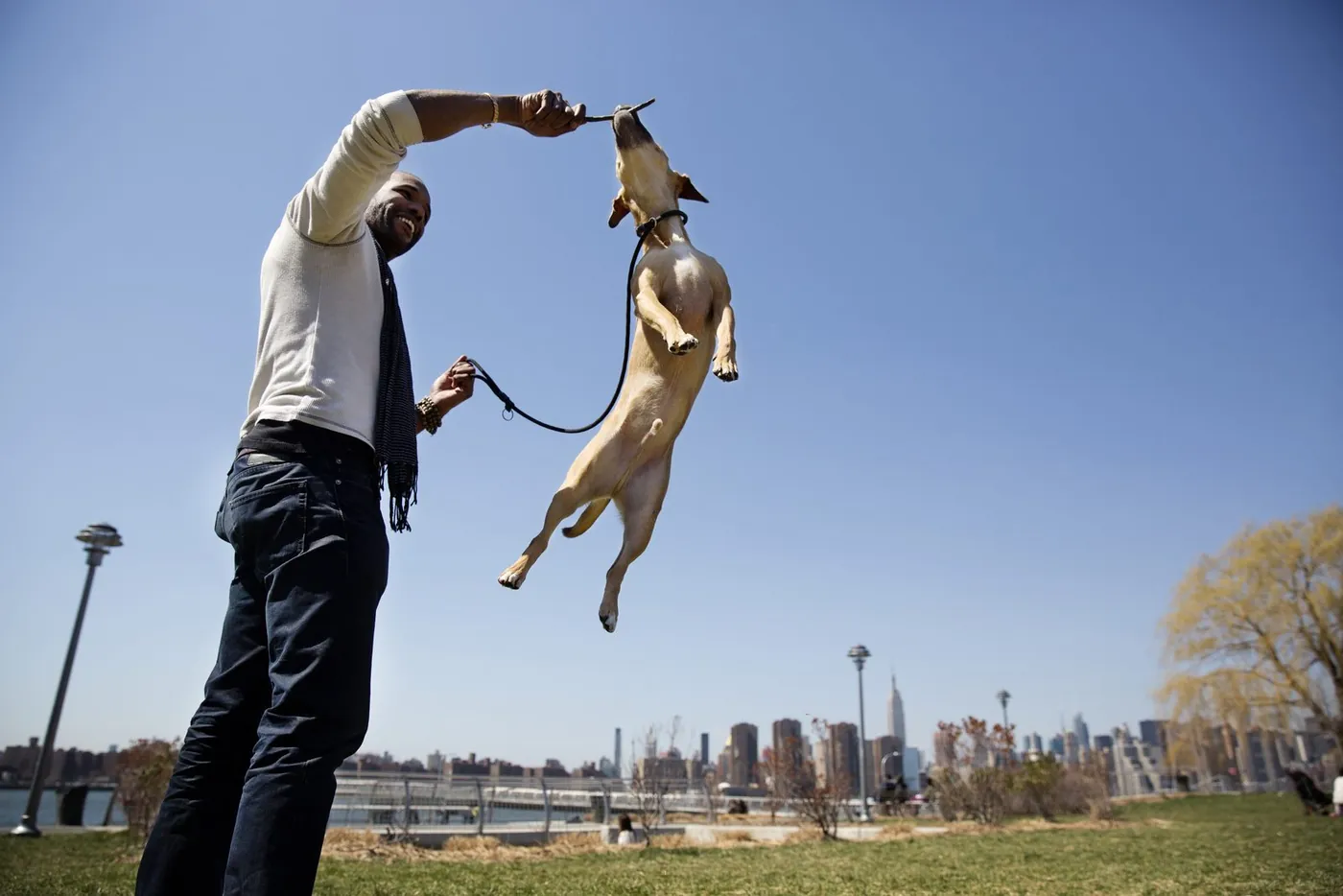 Level 3 dog handler training