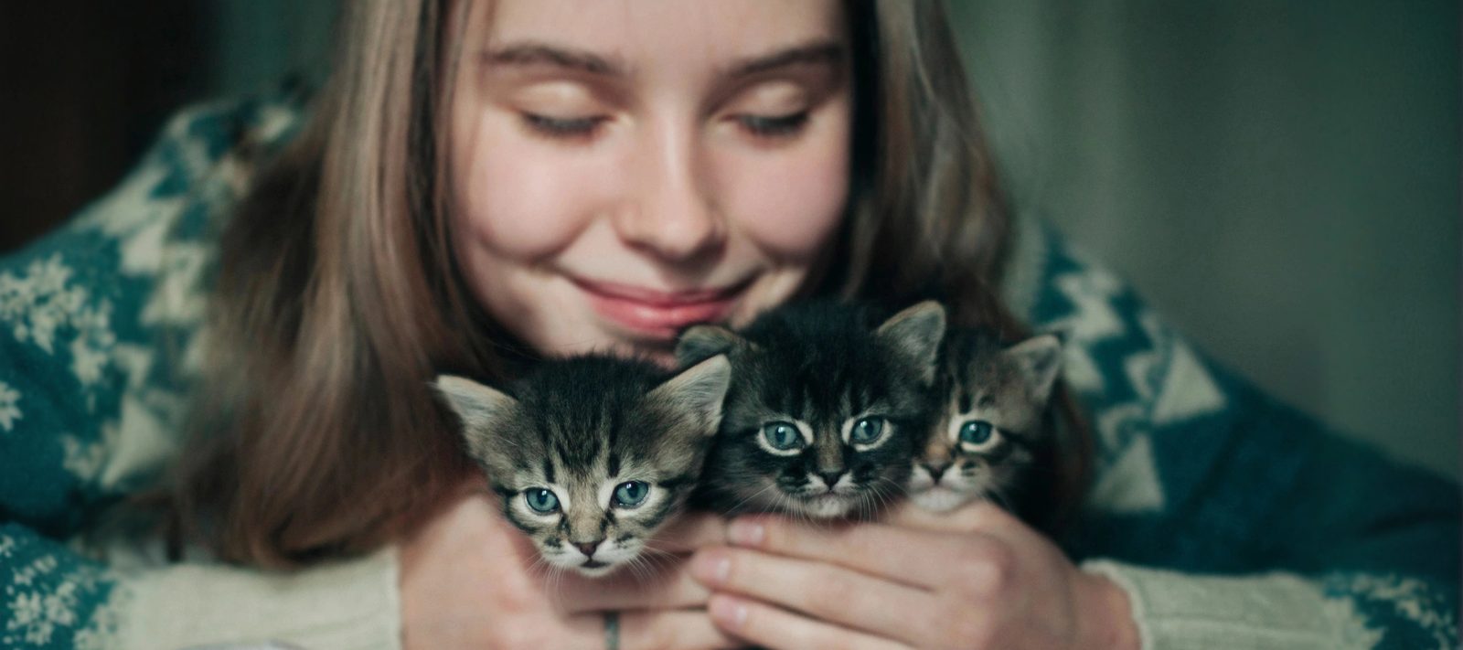 Girl holding kittens